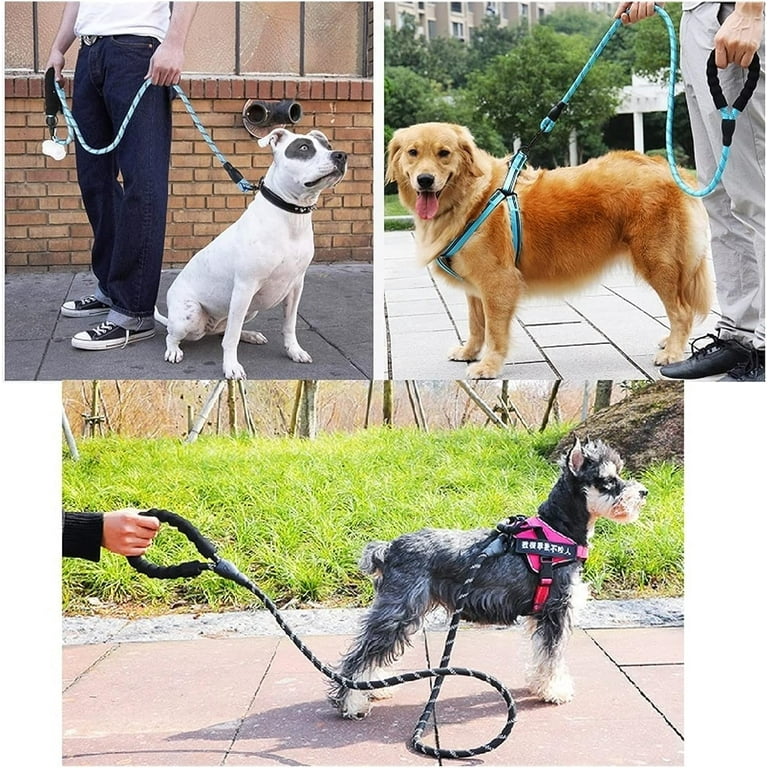 Strong Pet Dog Leash with Soft Padded Handle, Highly Reflective Rope for Night Walking (5Ft)