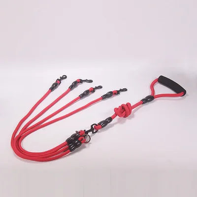 Nylon Dog walking Leash for 2/3/4 Dogs