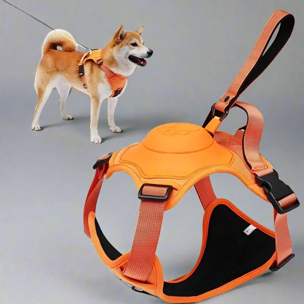 Dog Harness with Retractable Leash