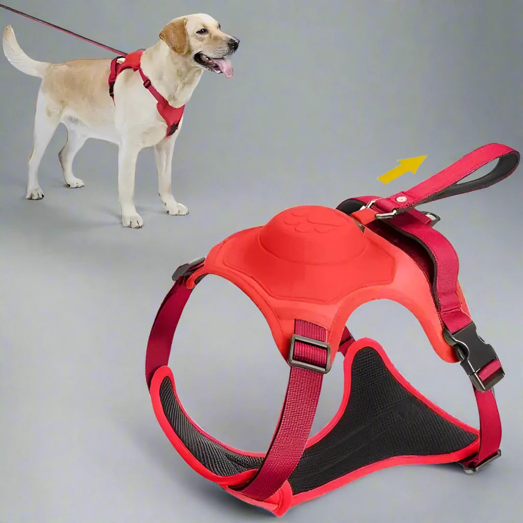 Dog Harness with Retractable Leash