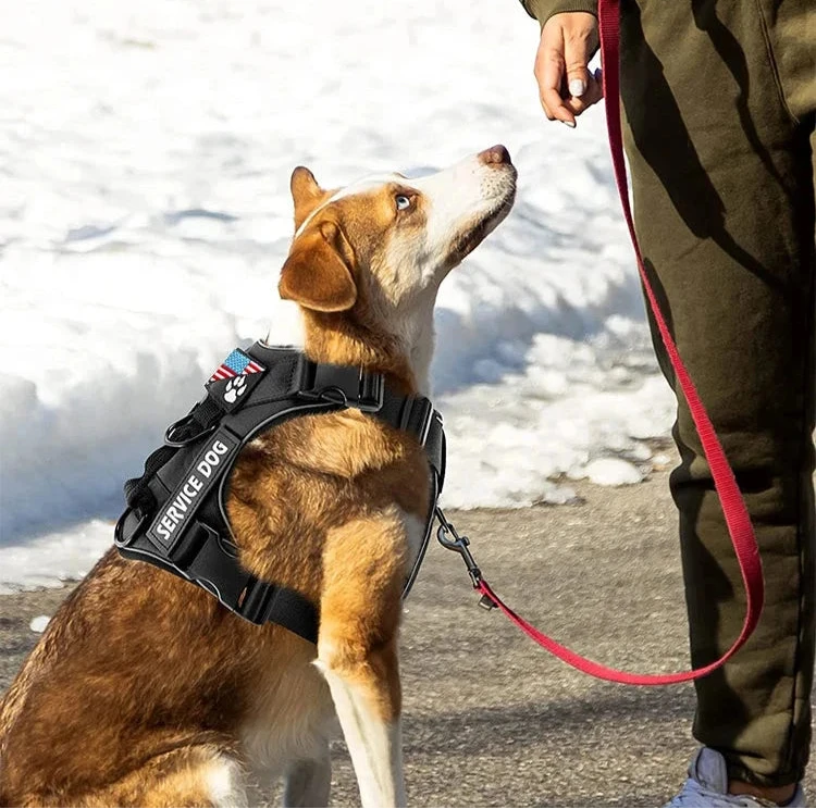 Service Dog Reflective Vest Harness with 5 PCS Patches