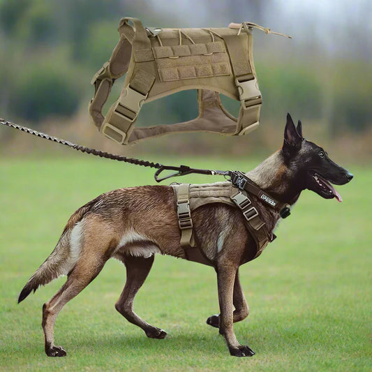 Tactical Dog Harness Leash For Training & Walking