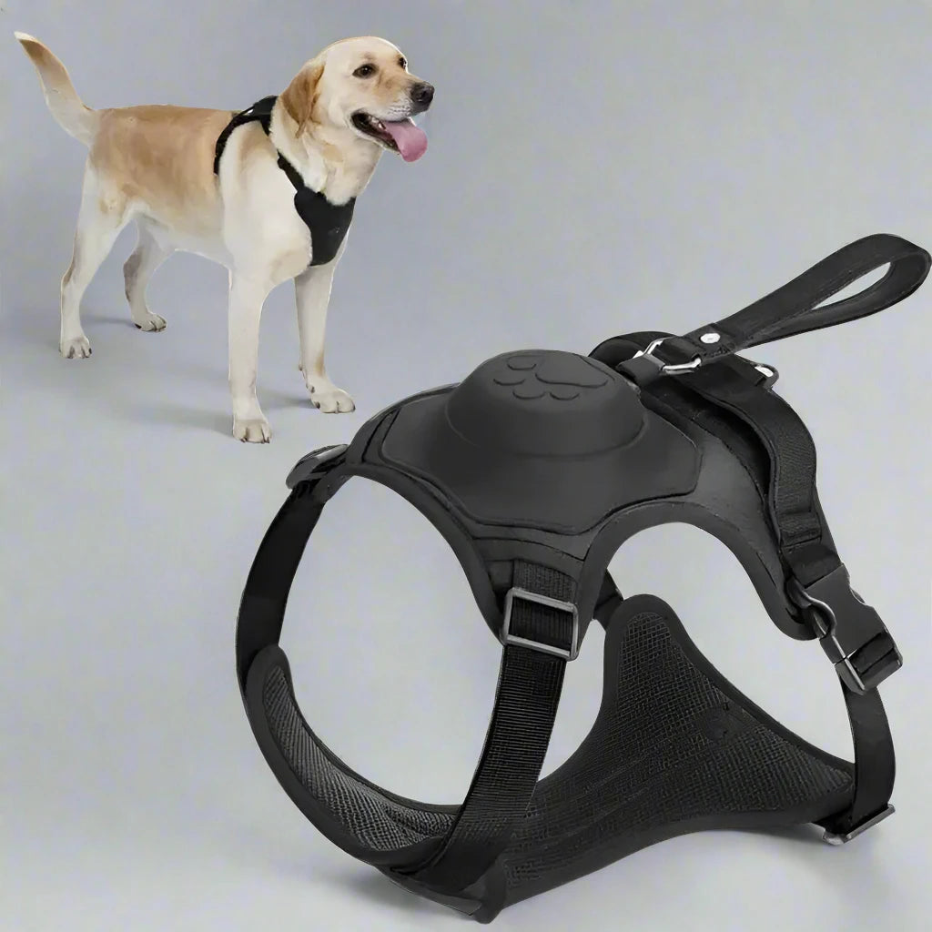 Dog Harness with Retractable Leash