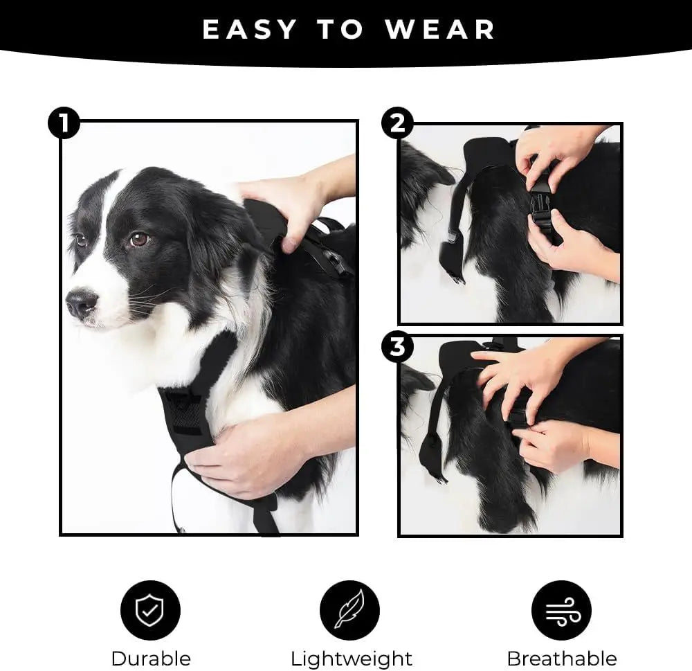 Dog Harness with Retractable Leash